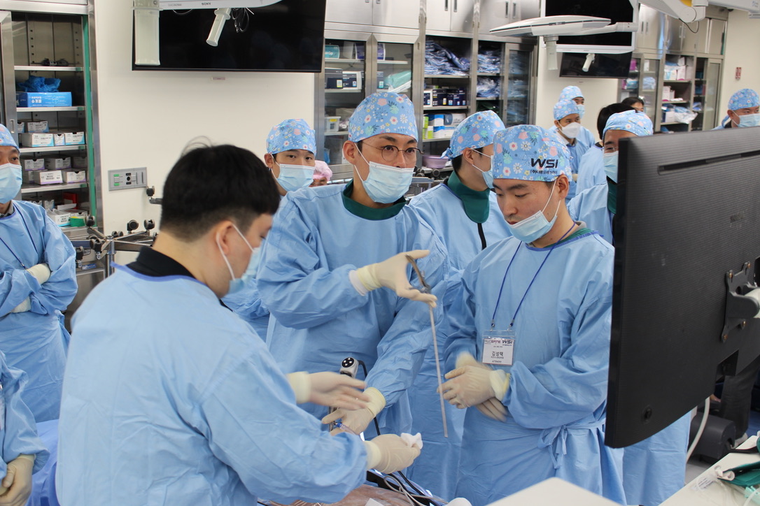 Spine Endoscopy